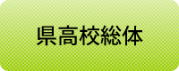 県高校総体