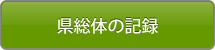 県高校総体の記録